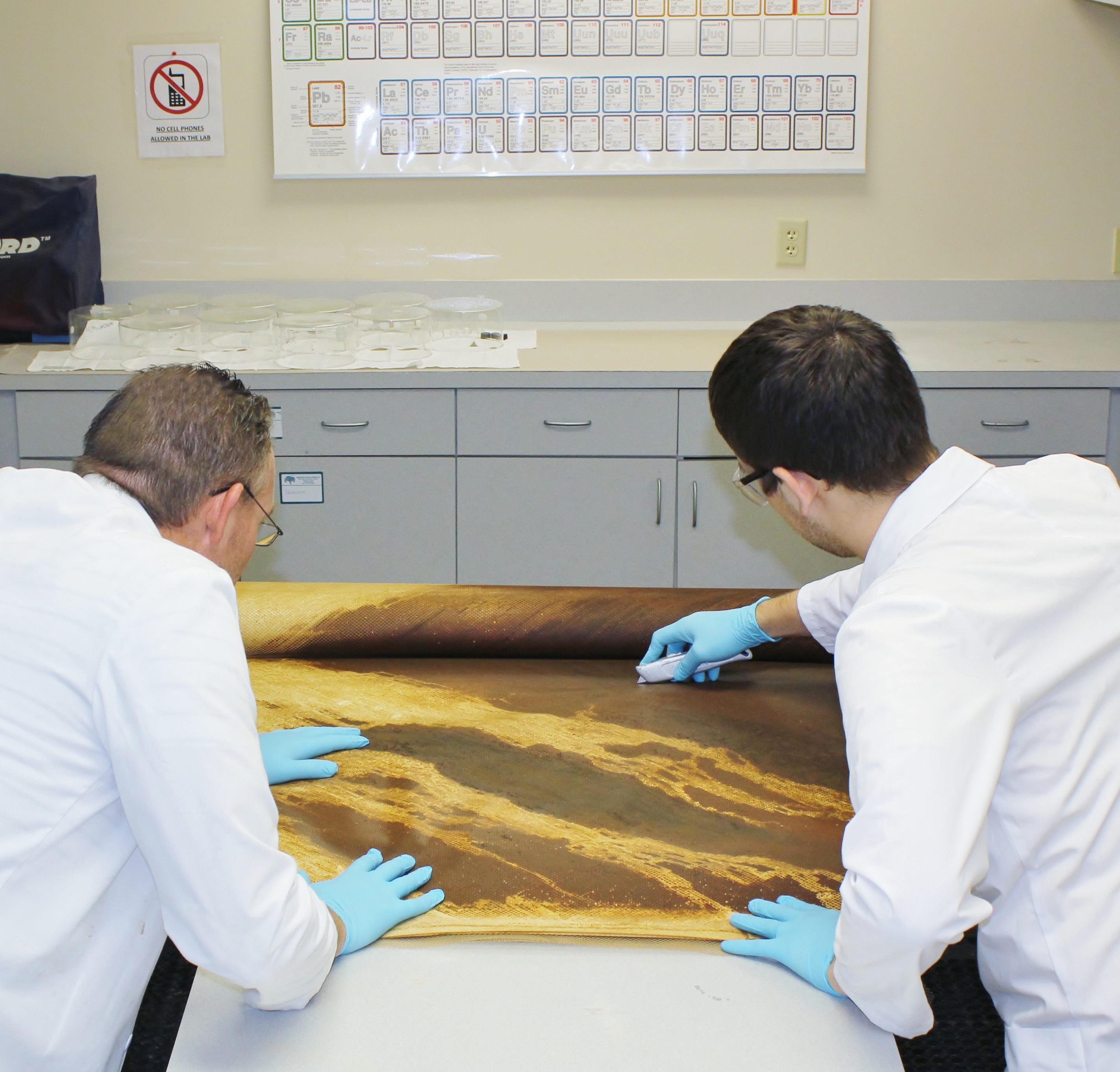 Autopsia de Membranas en laboratorios American Water Chemicals (AWC®)